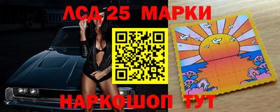 мдпв Камышлов