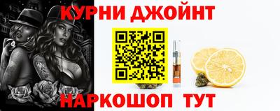мдпв Камышлов