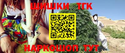 мдпв Камышлов